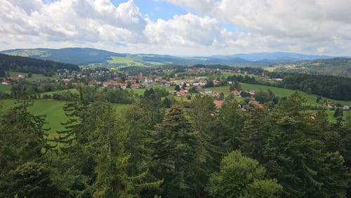 Baumwipfelpfad und Tier-Freigelände im Nationalpark Bayerischer Wald