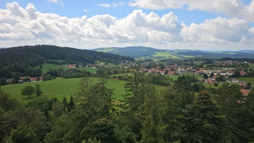 Baumwipfelpfad und Tier-Freigelände im Nationalpark Bayerischer Wald
