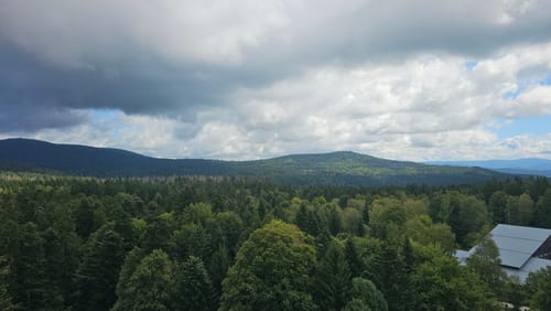 Baumwipfelpfad und Tier-Freigelände im Nationalpark Bayerischer Wald