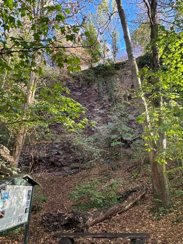 Rundweg um den Laacher See