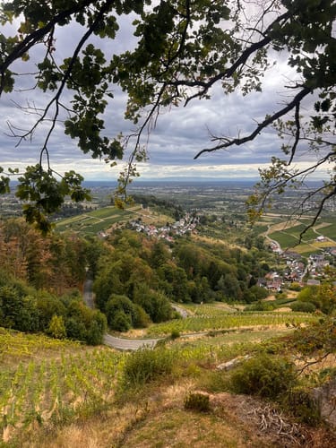 Burg Windeck Rundweg