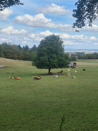 Romantische Straße Etappe 13: Nördlingen - Mönchsdeggingen