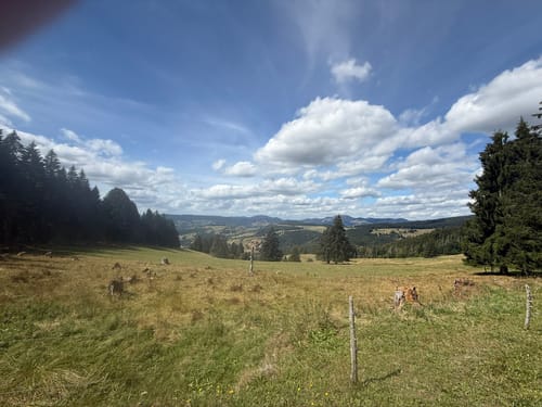 Gerspacher Loipe große Runde