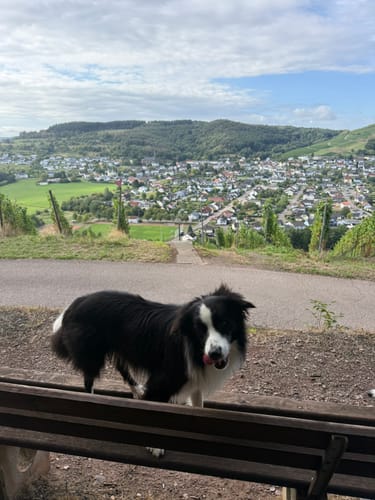 Rund um die "Ayler Kupp"