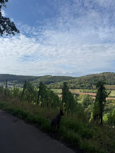 Rund um die "Ayler Kupp"