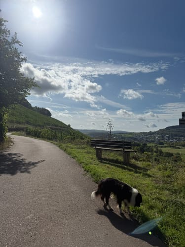 Rund um die "Ayler Kupp"