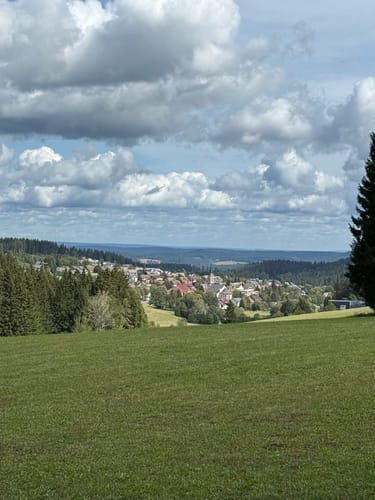 Heilklima-Steig (Genießerpfad)