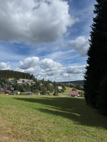 Heilklima-Steig (Genießerpfad)