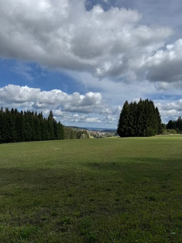 Heilklima-Steig (Genießerpfad)