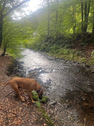 Hinterhufe Rundwanderung