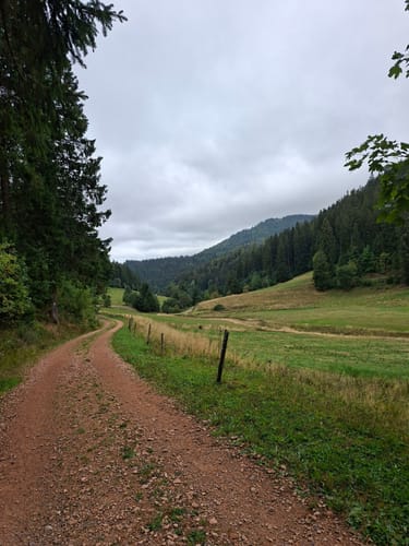 Belchensteig (Genießerpfad)