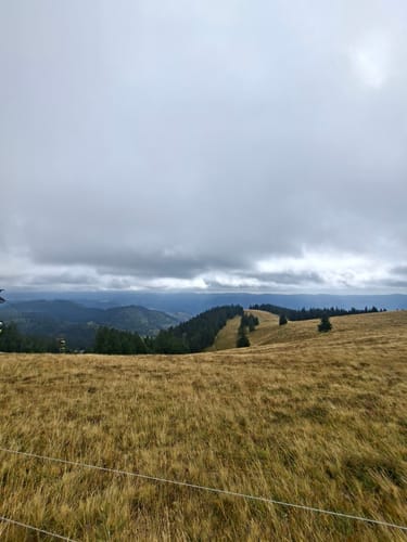 Belchensteig (Genießerpfad)