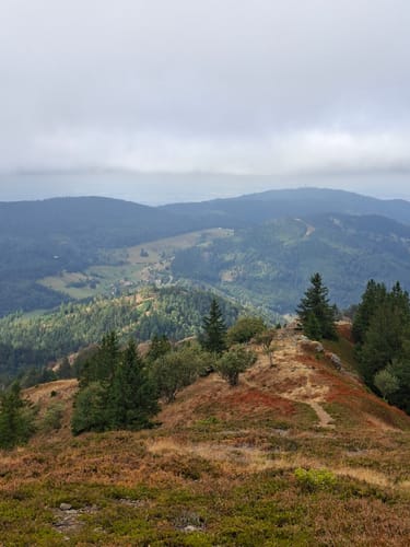 Belchensteig (Genießerpfad)