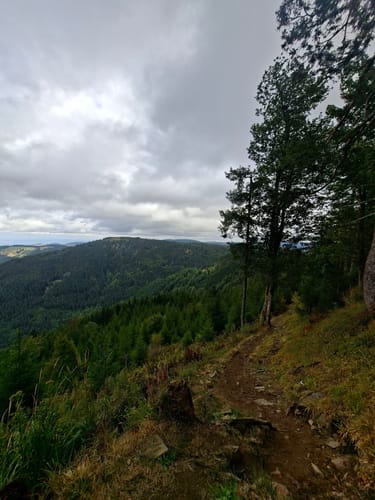Belchensteig (Genießerpfad)