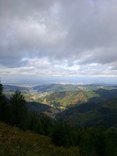 Belchensteig (Genießerpfad)
