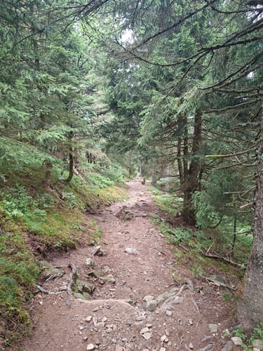 Belchensteig (Genießerpfad)