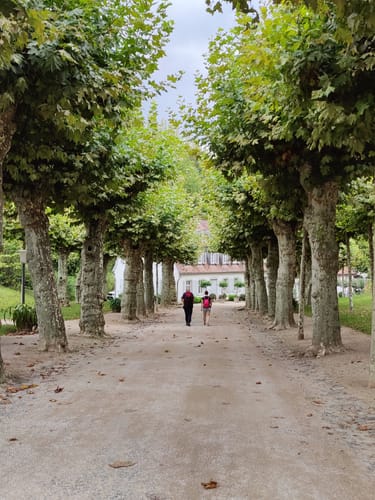 Auerbacher Schlossweg