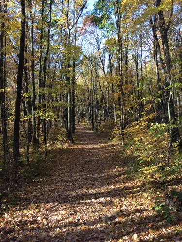 Hiking in Wisconsin's Kettle Moraine – Reading Eagle