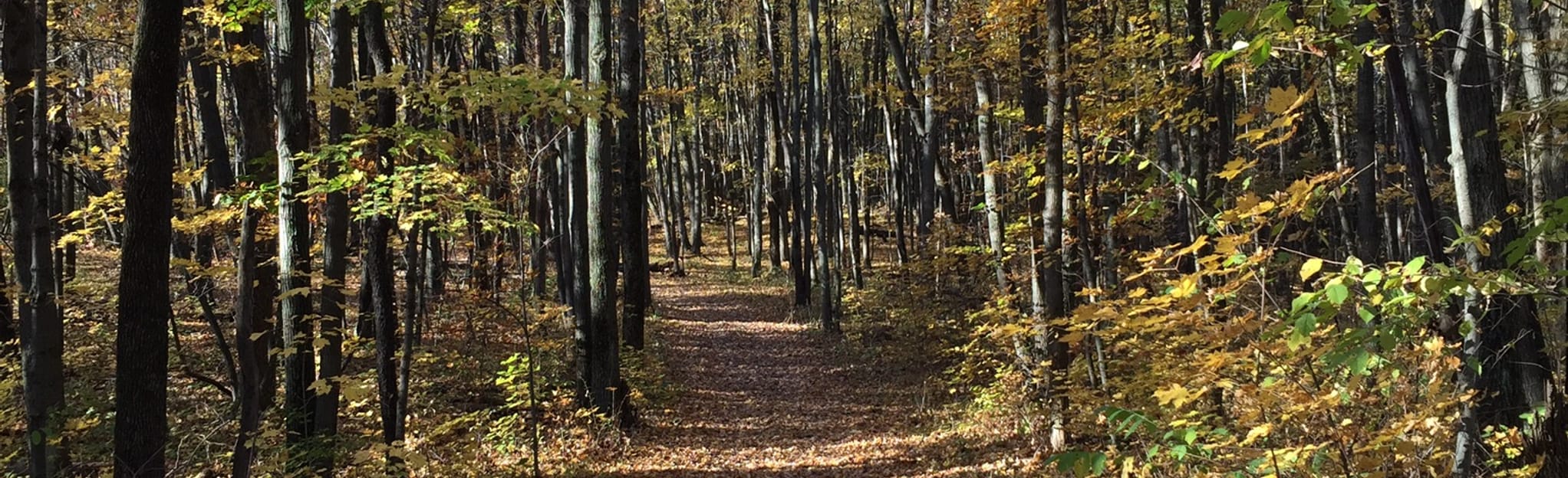 Kettle Moraine Purple Loop 312 Reviews, Map Wisconsin AllTrails