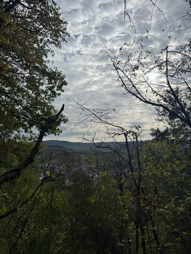 Runde zwischen Saarbögen