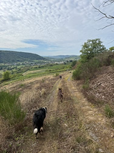 Runde zwischen Saarbögen