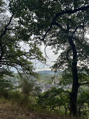 Runde zwischen Saarbögen