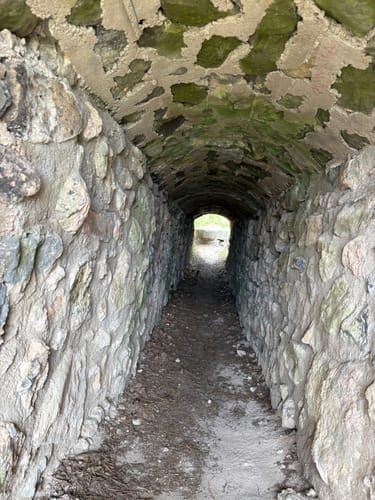 Schloßberg und Burgruine Waldeck