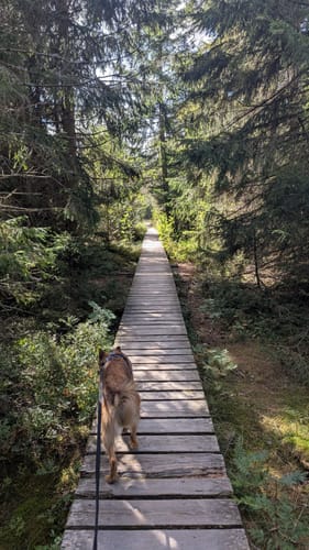 Runde zum Blindenmoor