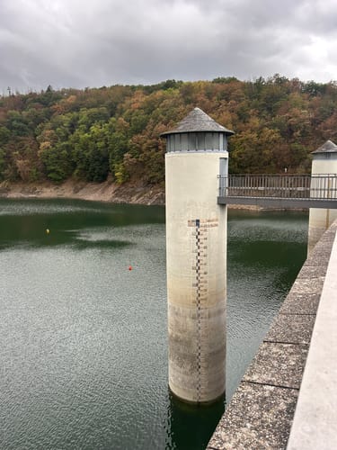 Bird Watching Runde: Von Vogelsang über die Urftseebrücke