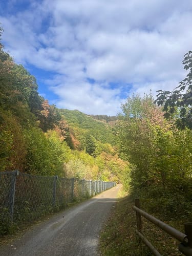 Bird Watching Runde: Von Vogelsang über die Urftseebrücke