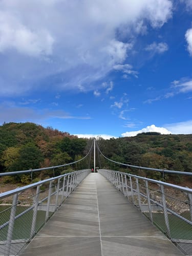 Bird Watching Runde: Von Vogelsang über die Urftseebrücke