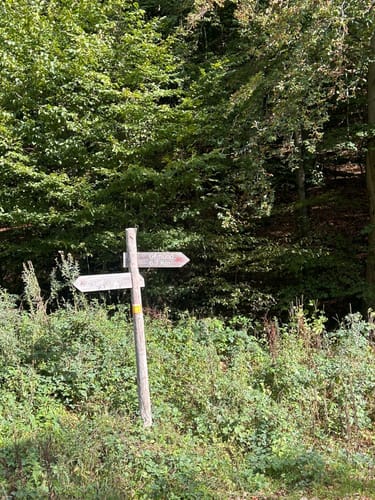 Bird Watching Runde: Von Vogelsang über die Urftseebrücke
