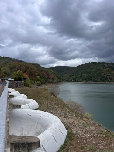 Bird Watching Runde: Von Vogelsang über die Urftseebrücke
