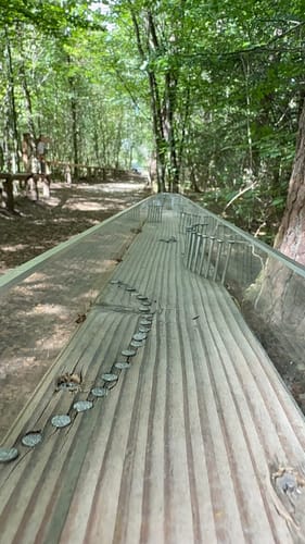 Gerolsteiner Keltenpfad