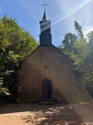 Gerolsteiner Keltenpfad