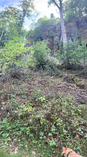Gerolsteiner Keltenpfad