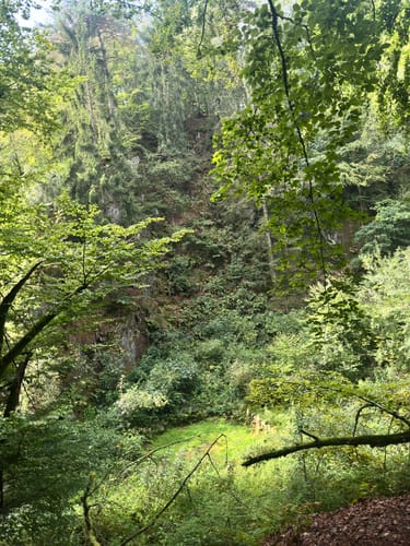 Externsteine 