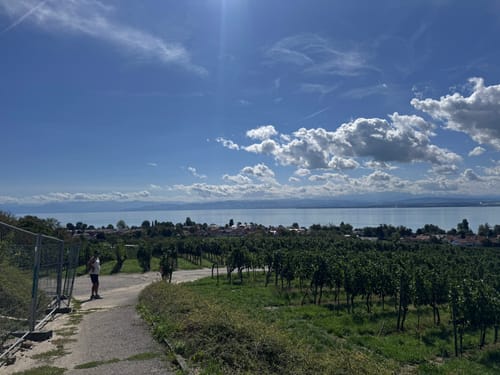 Apfel- und Weinspazierweg Immenstaad