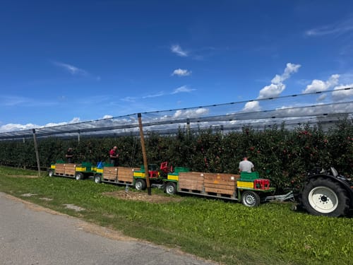 Apfel- und Weinspazierweg Immenstaad