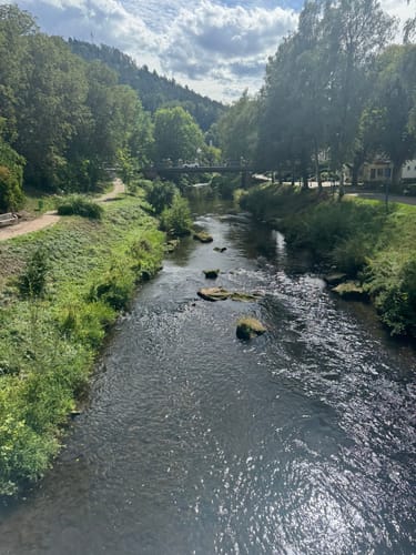 Wildes Monbachtal