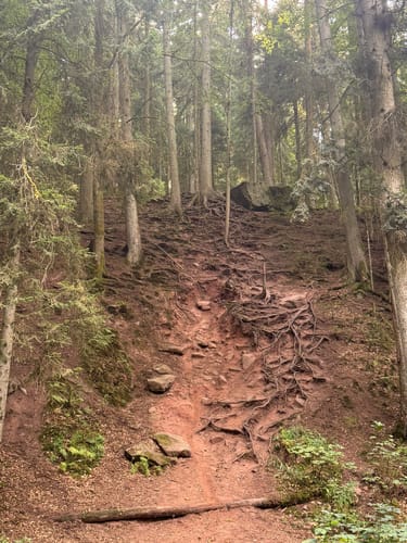 Wildes Monbachtal