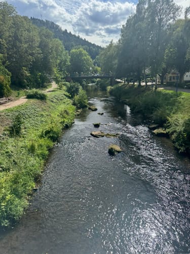 Wildes Monbachtal