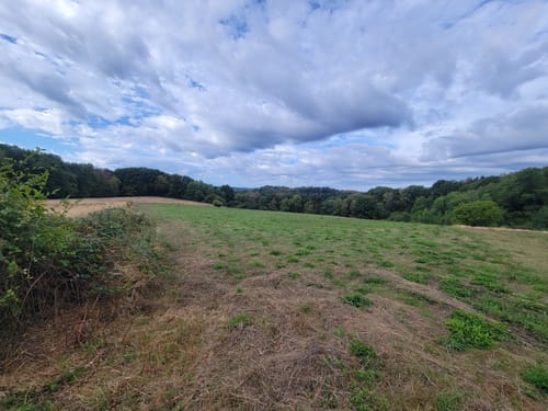 Trulber Sandhasentour (Premiumwanderweg)