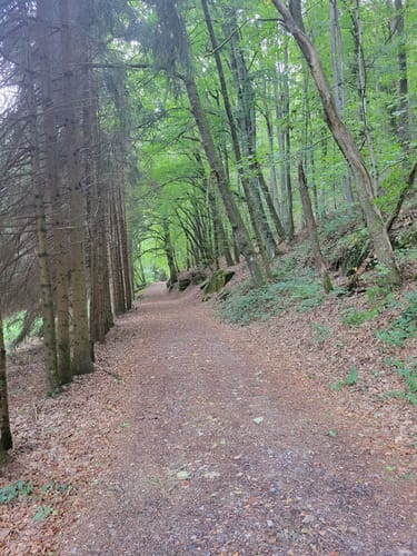 Trulber Sandhasentour (Premiumwanderweg)