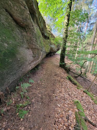 Trulber Sandhasentour (Premiumwanderweg)