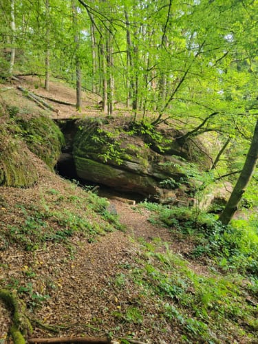 Trulber Sandhasentour (Premiumwanderweg)