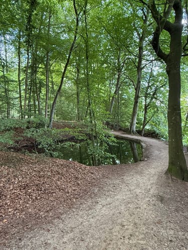 Dieksee Rundweg