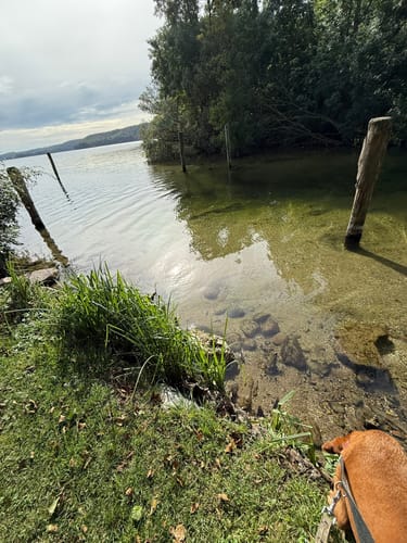 Dieksee Rundweg