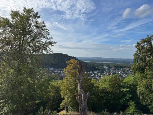 Zur Burg Hohenecken und zur Burgaussicht