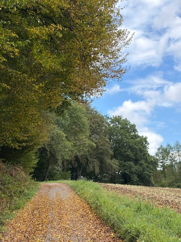 Entlang der Wupper von Schloss Burg
